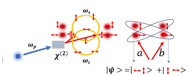 利用SPDC過程產(chǎn)生光子偏振糾纏（貝爾量子態(tài)）的示例